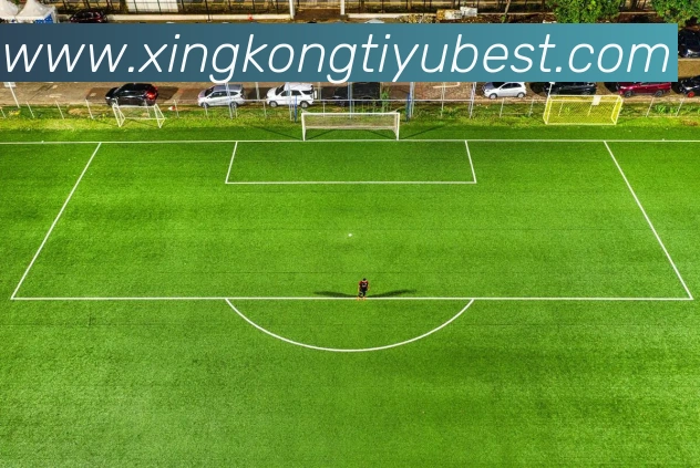 多媒体互动体验